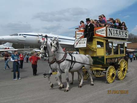 horse bus