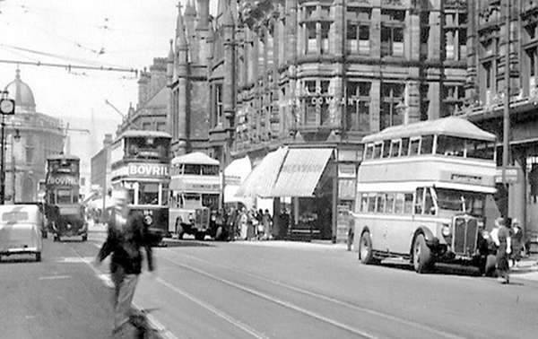 camel-roof_thumb1 camel-roof_thumb1