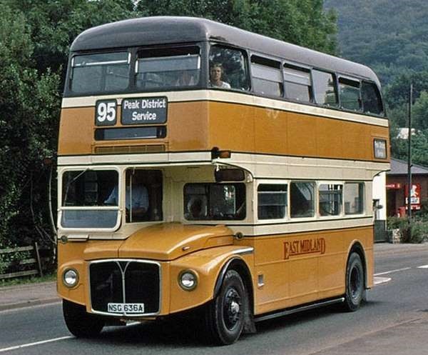 NSG-636A_thumb1 NSG-636A_thumb1